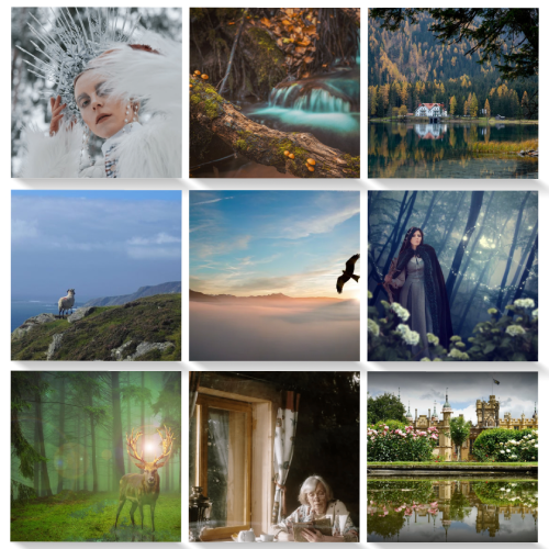 9 images, arranged in 3 rows of 3 images in each row. Top Left: headshot of a pale androgynous person in white with a spiky silver crown. Top Middle: branch with mushrooms in front of a waterfall. Top Right: manor house reflected in lake surrounded by trees. Middle Left: Sheep on top of a mountain. Middle: large bird soaring above clouds. Middle Right: a white woman woman in a dark cloak in forest with a glowing fairy sprites. Bottom left: deer in forest with a magical glow between its antlers. Bottom Middle: old white woman reading abook at a table. Bottom Right: flowery castle reflected in the water. Images sourced from: Canva, Pexels, and Unsplash